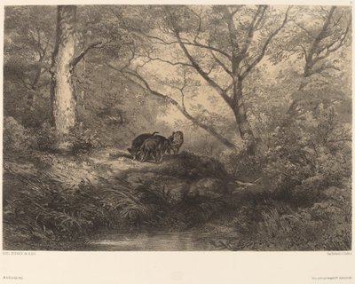 Wildschweine von Karl Bodmer