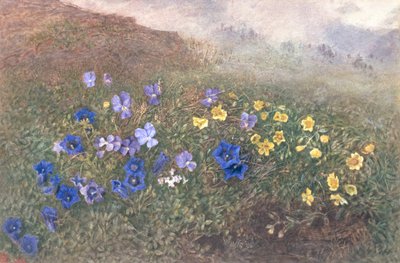 Frühlingsbergblumen, 1896 von Kate fl.1873 96 Goodwin