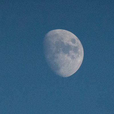 Schau zum Mond, 2021 (Foto) von Katha Wood
