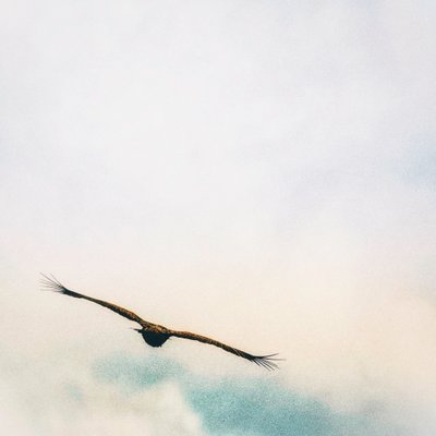 Oben in den Wolken von Katha Wood