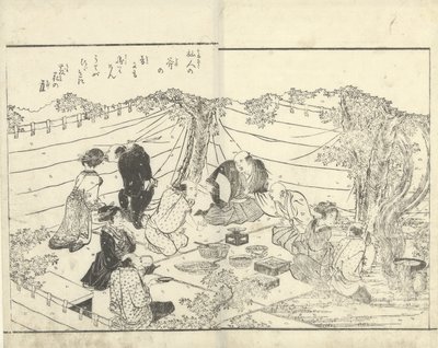 Gesellschaft unter einem Kirschbaum von Katsukawa Shuntei