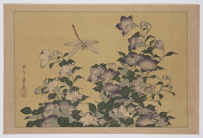 Glockenblume und Libelle von Katsushika Hokusai
