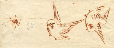 Skizzenseite mit Vögeln und Spinne von Katsushika Hokusai