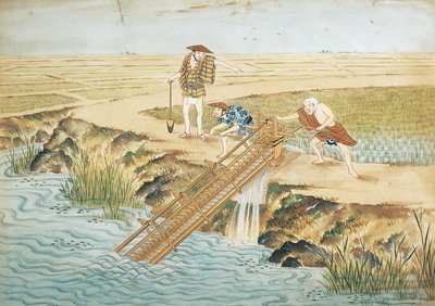 Leiden, Arbeit in den Reisfeldern von Keiga Kawahara