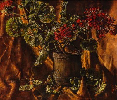 Stillleben mit Begonien von Kenneth Newton