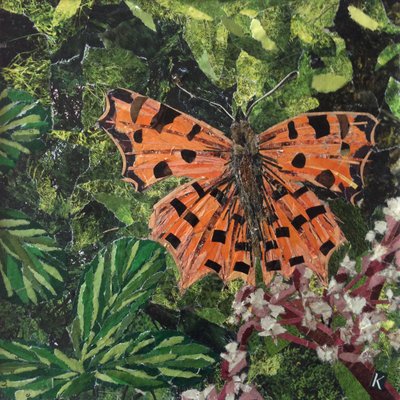 Flattern - Komma-Schmetterling auf Japonica von Kirstie Adamson