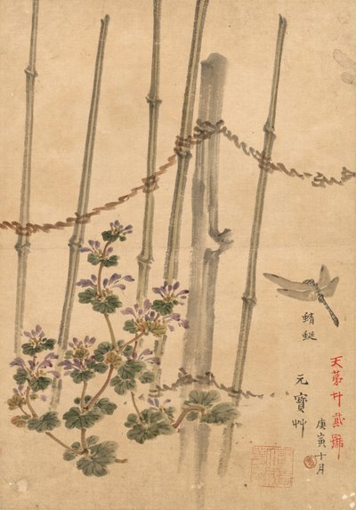 Bambuszaun und Chrysanthemen von Kono Bairei