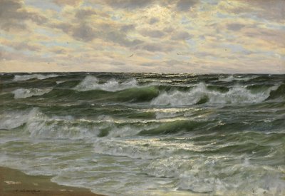 Rollende Wellen von Konstantin Alexandrovich Veshchilov
