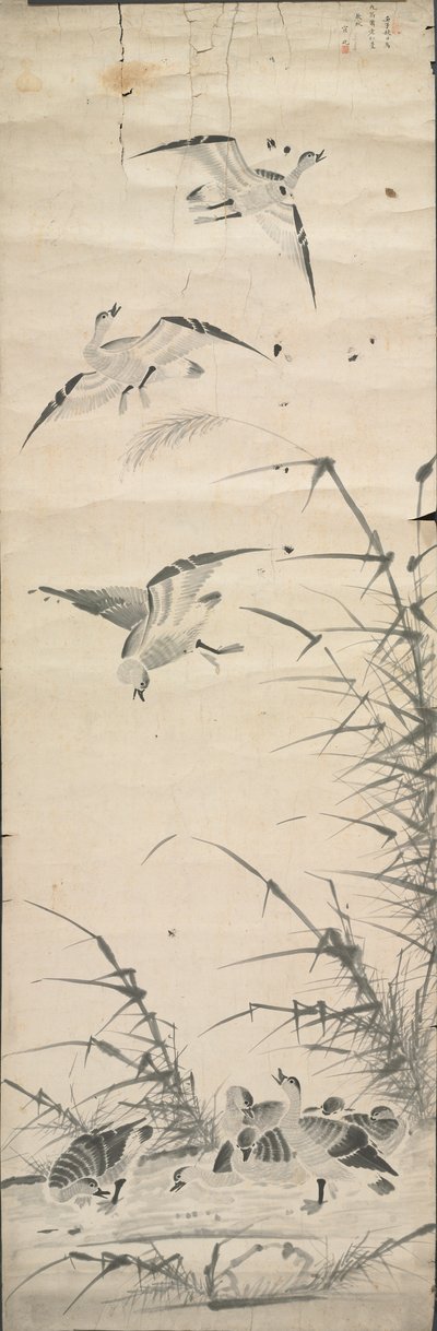 Wildgänse und Schilf von Korea, Joseon dynasty