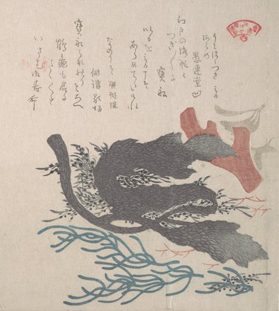 Verschiedene Algen, 19. Jahrhundert von Kubo Shunman