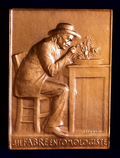 Jean Henri Fabre, französischer Entomologe, 1911 von L. Patriarche