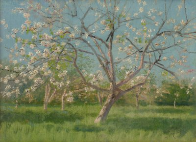 Obstbäume in Blüte, 1900-10 von Laszlo Mednyanszky