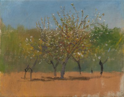 Blühende Bäume, ca. 1880-90 von Laszlo Mednyanszky