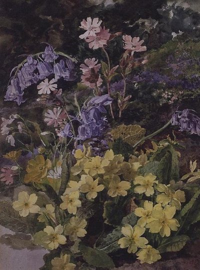 Studie von Blumen von Laura Darcy Strutt