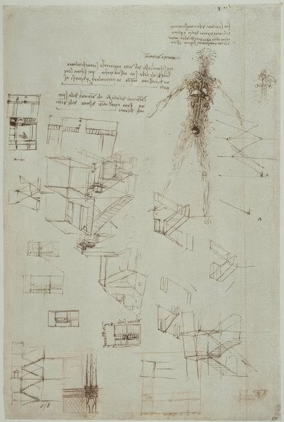 Anatomiestudien von Leonardo da Vinci