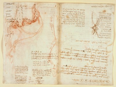 Arundel 263, f.148v von Leonardo da Vinci