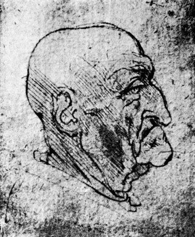 Kopf eines alten Mannes, 1913 von Leonardo da Vinci