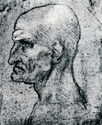Kopf eines alten Mannes, 1913 von Leonardo da Vinci