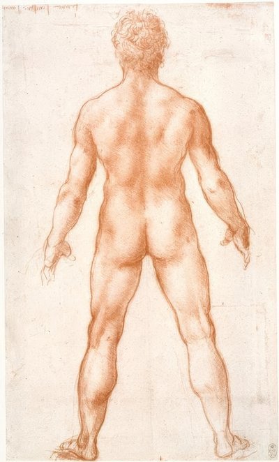 Männlicher Akt von hinten von Leonardo da Vinci