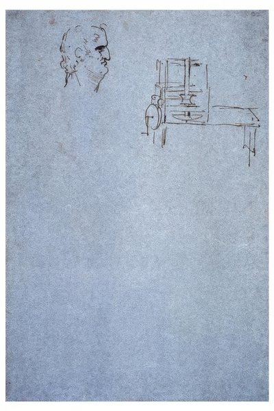 Männliches Profilbildnis von Leonardo da Vinci