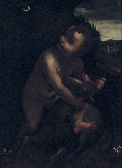 Der kleine Johannes der Täufer von Leonardo da Vinci