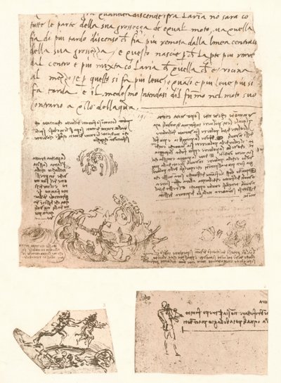 Drei Zeichnungen von Leonardo da Vinci