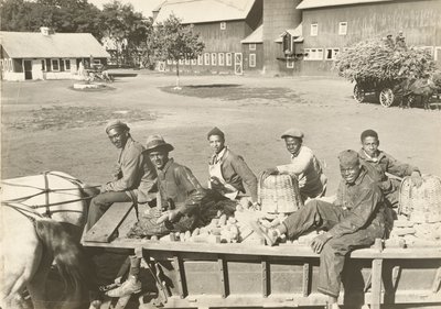 Ohne Titel von Lewis Wickes Hine