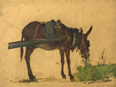 Studie eines Maultiers von Lievan Herremans