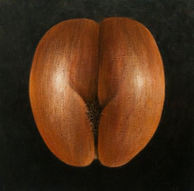 Coco de Mer, 2010 von Lincoln Seligman