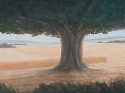 Baum, Holwell, 2012 von Lincoln Seligman