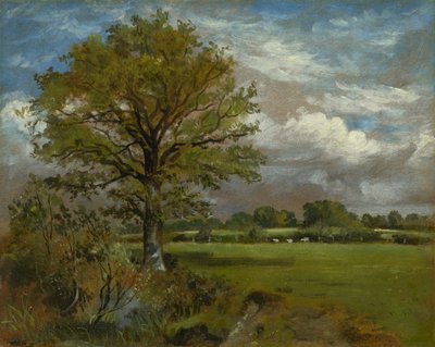 Baum in einer Wiese, ca. 1850 von Lionel Constable