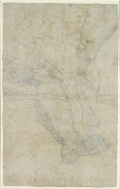 Studien von zwei Beinpaaren, ca. 1575-1615 von Lodovico Carracci
