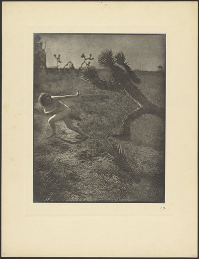Schreckgespenst der Wüste von Louis Fleckenstein