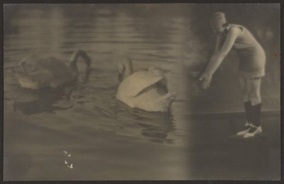 [Komposition aus Schwänen und Taucher] von Louis Fleckenstein