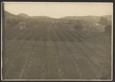 Bauernlandschaft von Louis Fleckenstein