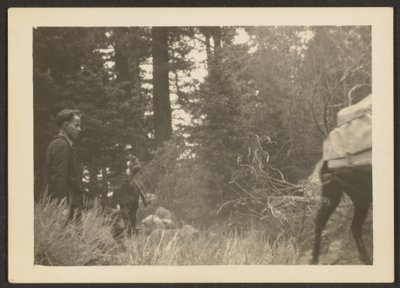 Figuren in einer waldigen Landschaft von Louis Fleckenstein