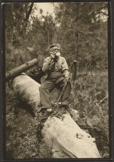 Fleckenstein auf einem Baumstamm von Louis Fleckenstein