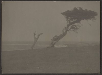 [Landschaft] von Louis Fleckenstein