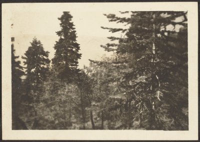 Landschaft von Louis Fleckenstein