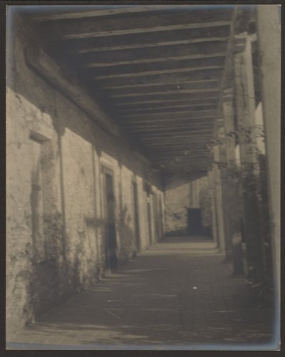 Missionsflur von Louis Fleckenstein
