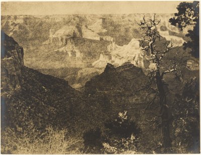 [Gebirgige Landschaft mit kahlem Baum] von Louis Fleckenstein
