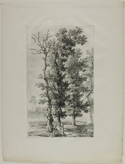 Studie von Bäumen von Louis Pierre Baltard