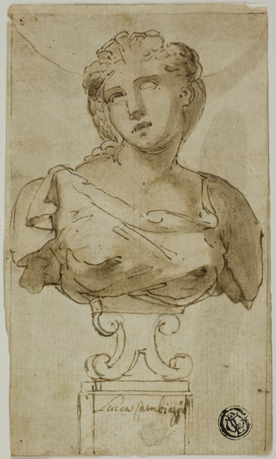 Büste einer Frau von Luca Cambiaso