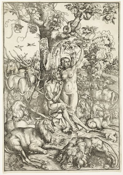Der Sündenfall von Lucas Cranach the Elder