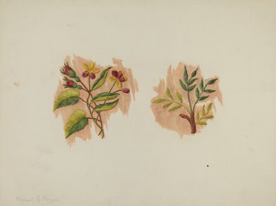 Seidenunterrockfragment, ca. 1939 von Manuel G. Runyan