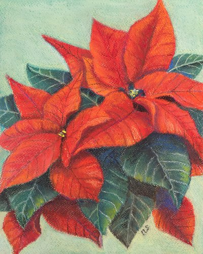 Weihnachtssterne, 2022 von Margo Starkey