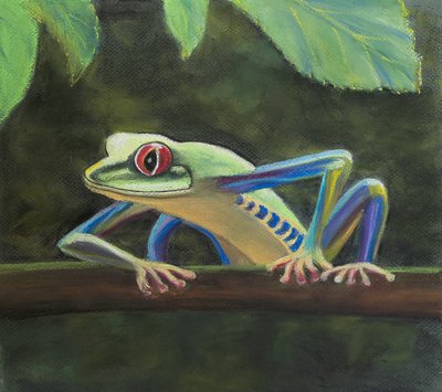 Baumfrosch. von Margo Starkey