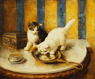 Katzenreflexionen von Marie Yvonne Laur