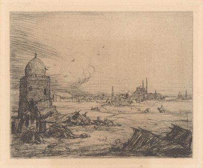 Stadtansicht mit Moscheen von Marius Bauer