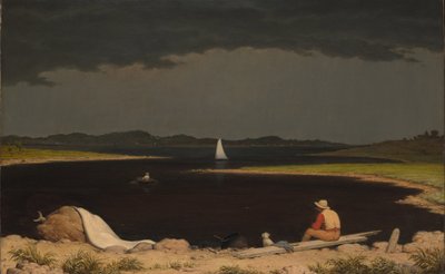 Annäherndes Gewitter von Martin Johnson Heade